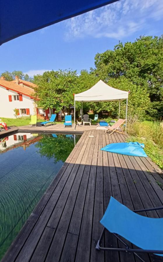 Chambres Maison Labourdasse Saint-Martin-de-Hinx Zewnętrze zdjęcie