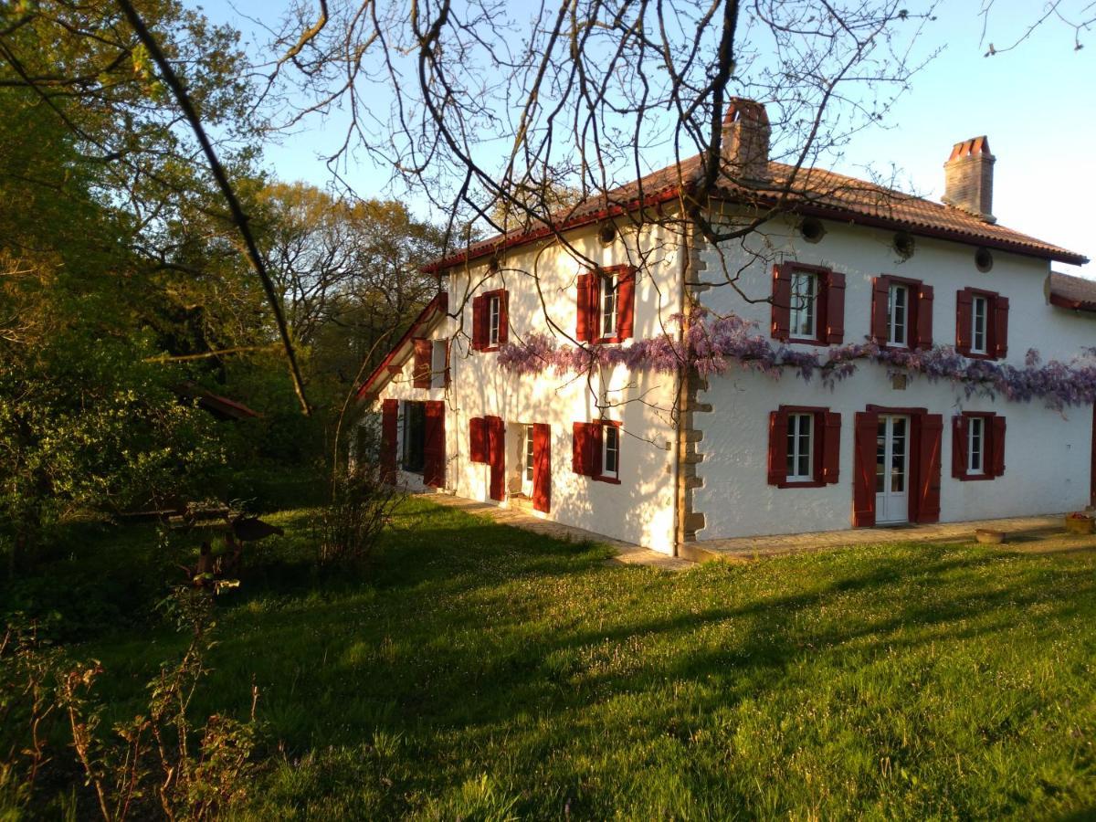 Chambres Maison Labourdasse Saint-Martin-de-Hinx Zewnętrze zdjęcie